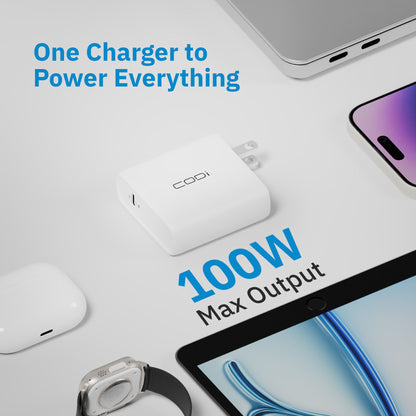 100W Wall USB-C Charger with USB2.0 EPR Braided Cable (SS SD)*