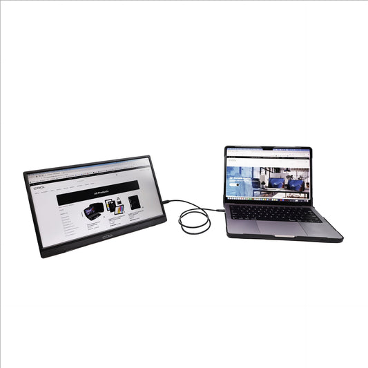 15.6" Portable Monitor with Kickstand